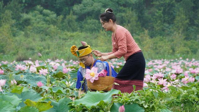 线腊妹和李维超采摘新鲜荷花 龙陵县融媒体中心供图.JPG