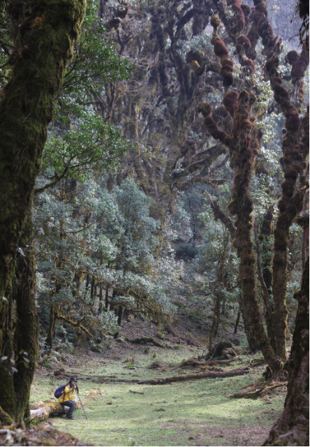 龙新乡小黑山 (2).png